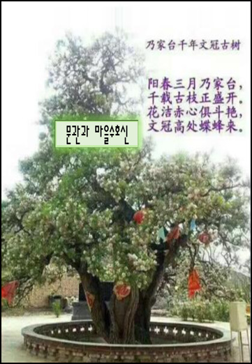 역사,특징